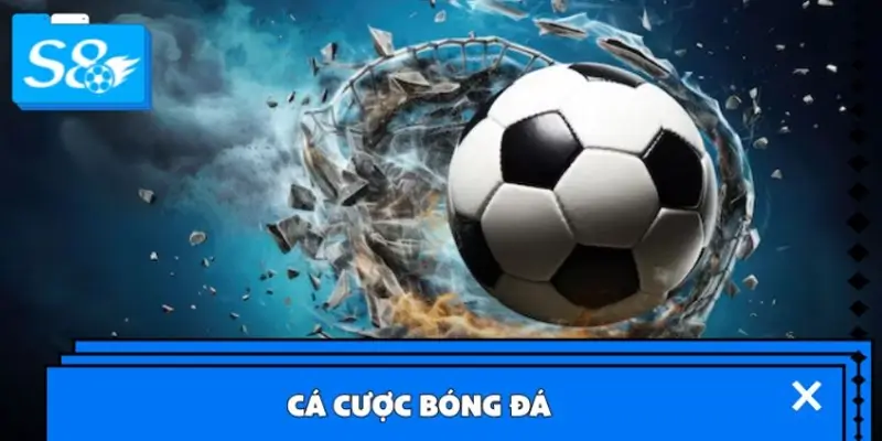 Cá cược bóng đá Cá cược bóng đá