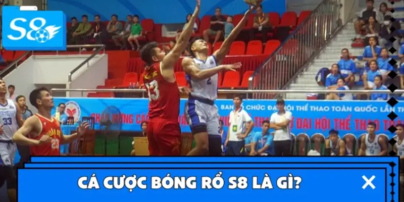 Cá cược bóng rổ S8 là gì? Cá cược bóng rổ S8 là gì?