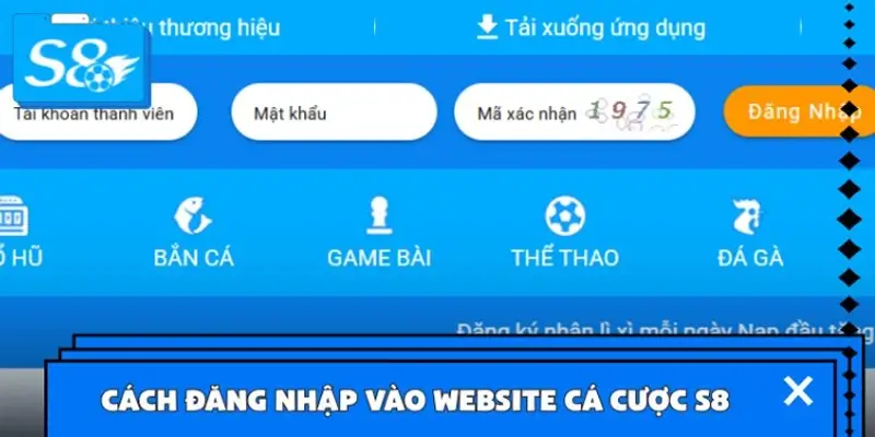 Cách đăng nhập vào website cá cược S8