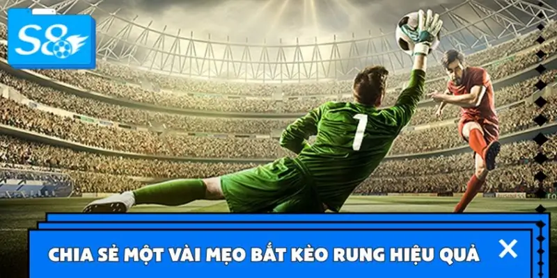 Hé lộ các mẹo bắt kèo rung hiệu quả từ các cao thủ Hé lộ các mẹo bắt kèo rung hiệu quả từ các cao thủ