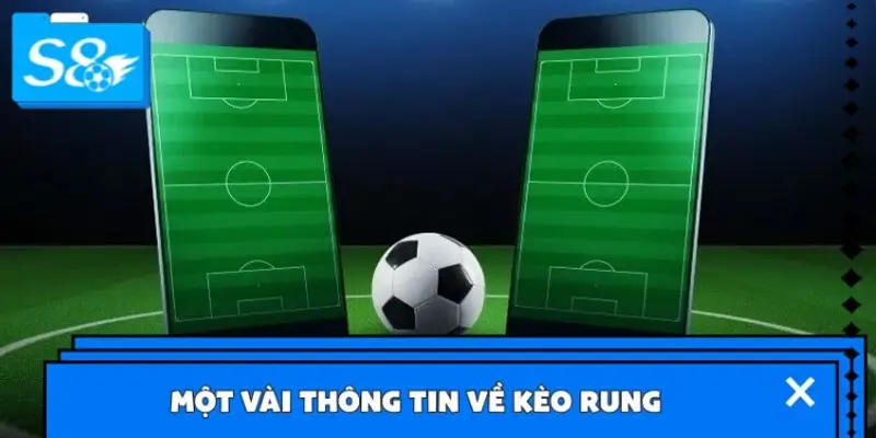 Kèo rung là gì? Kèo rung là gì?