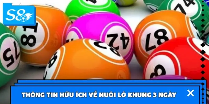 Kiến thức cần biết về bí quyết nuôi lô khung 3 ngày Kiến thức cần biết về bí quyết nuôi lô khung 3 ngày