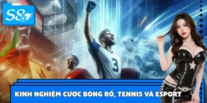 Kinh Nghiệm Cược Bóng Rổ, Tennis Và Esport Tại S8
