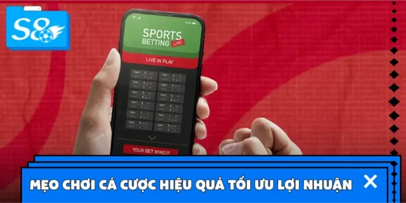 Mẹo giúp chơi cá cược kèo phạt góc hiệu quả tối ưu lợi nhuận Mẹo giúp chơi cá cược kèo phạt góc hiệu quả tối ưu lợi nhuận