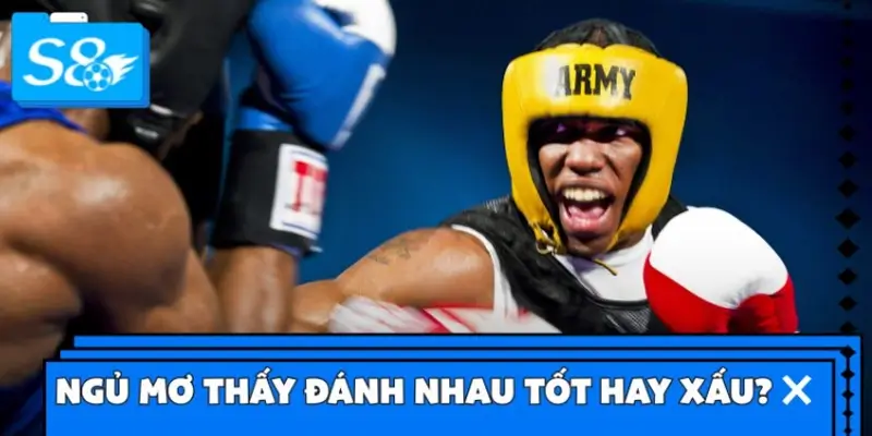 Ngủ mơ thấy đánh nhau tốt hay xấu? Ngủ mơ thấy đánh nhau tốt hay xấu?